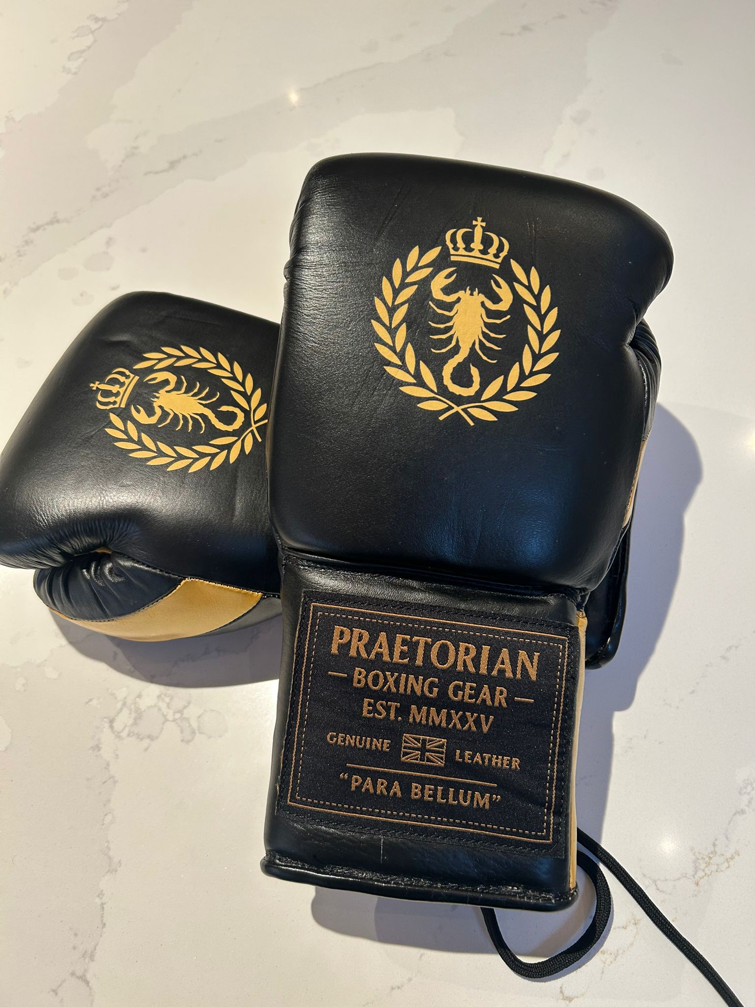 Praetorian Gladiator Boxing Gloves