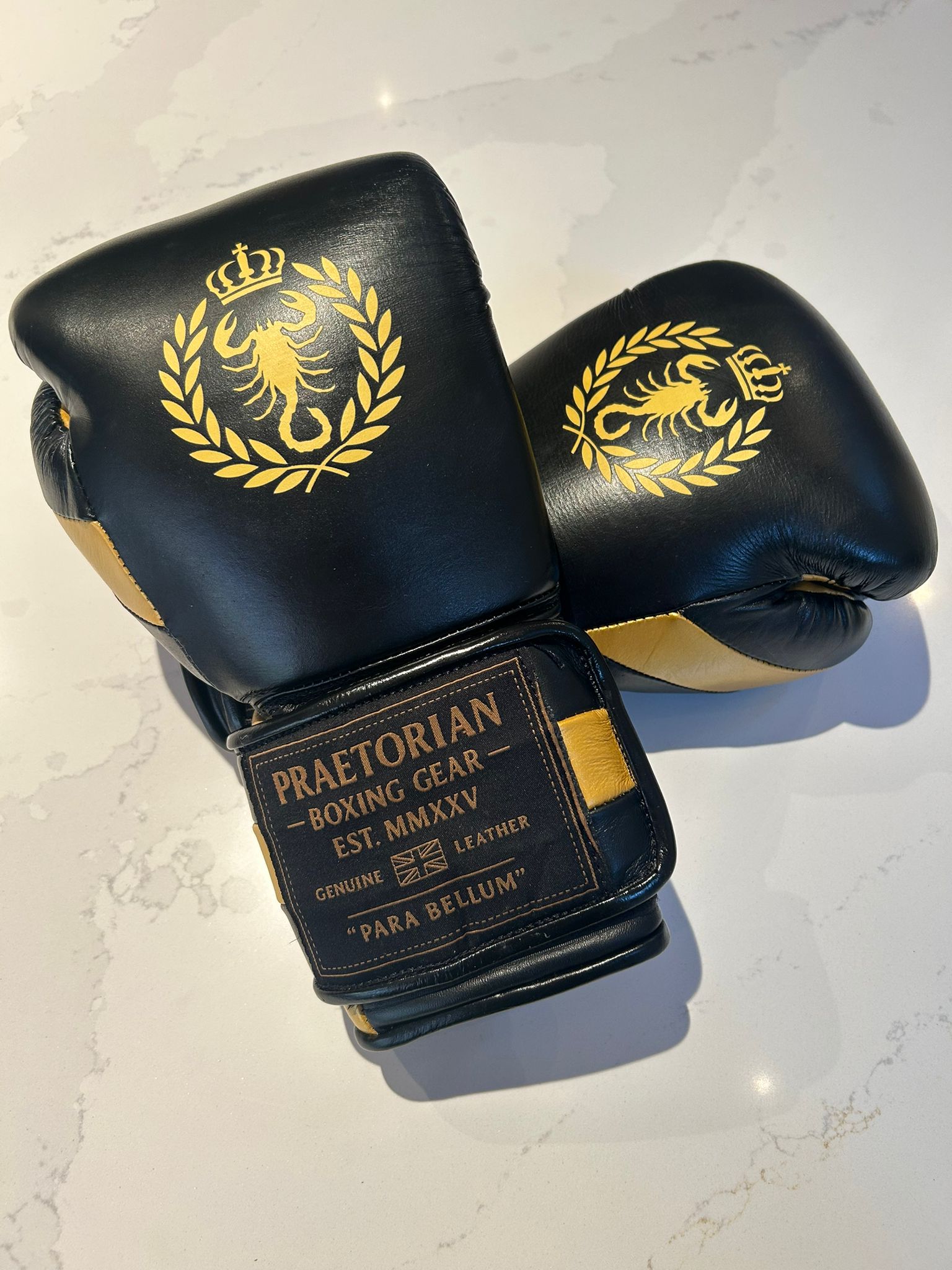 Praetorian Gladiator Boxing Gloves