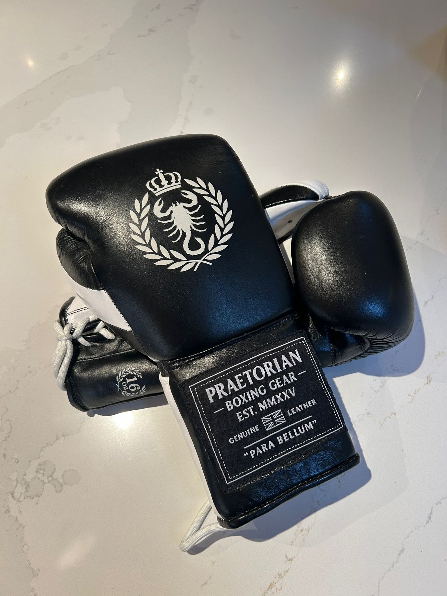 Praetorian Gladiator Boxing Gloves