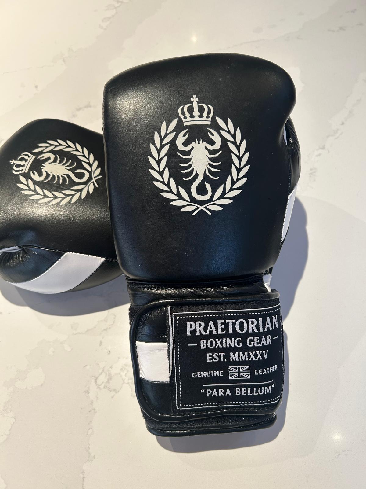 Praetorian Gladiator Boxing Gloves