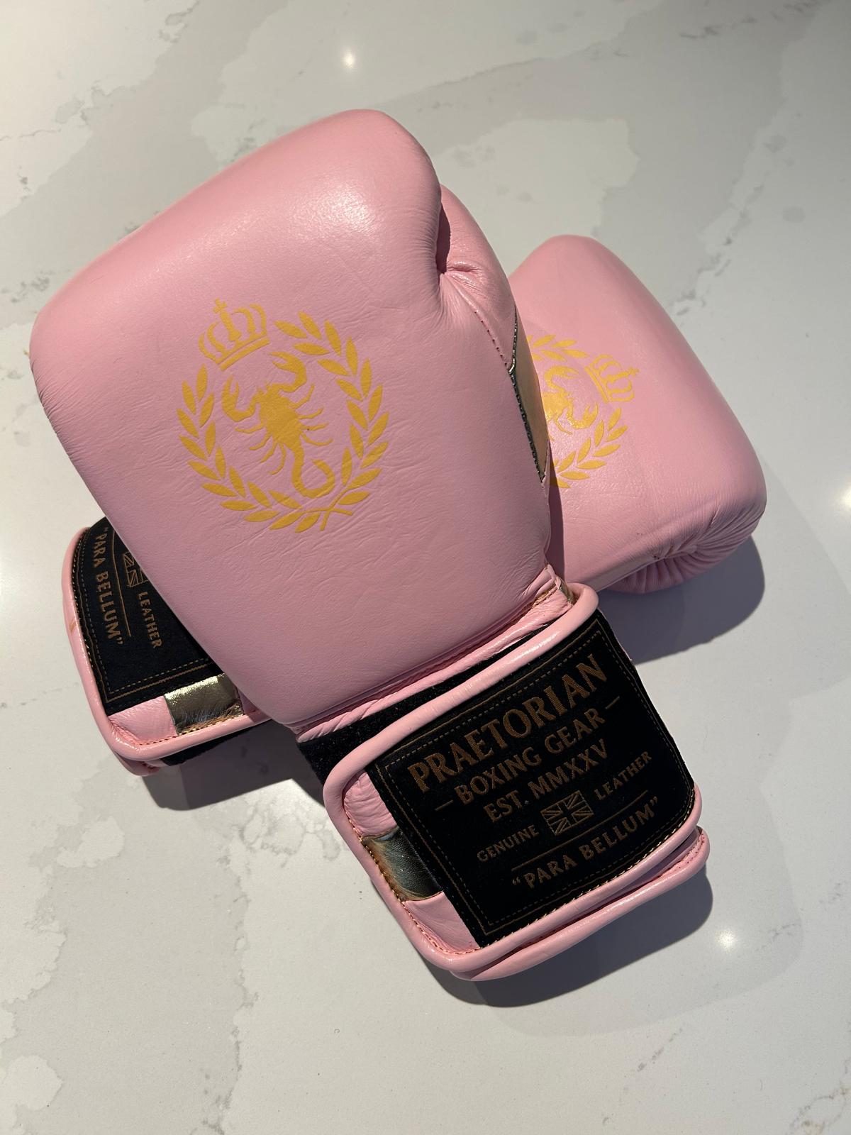 Praetorian Gladiator Boxing Gloves